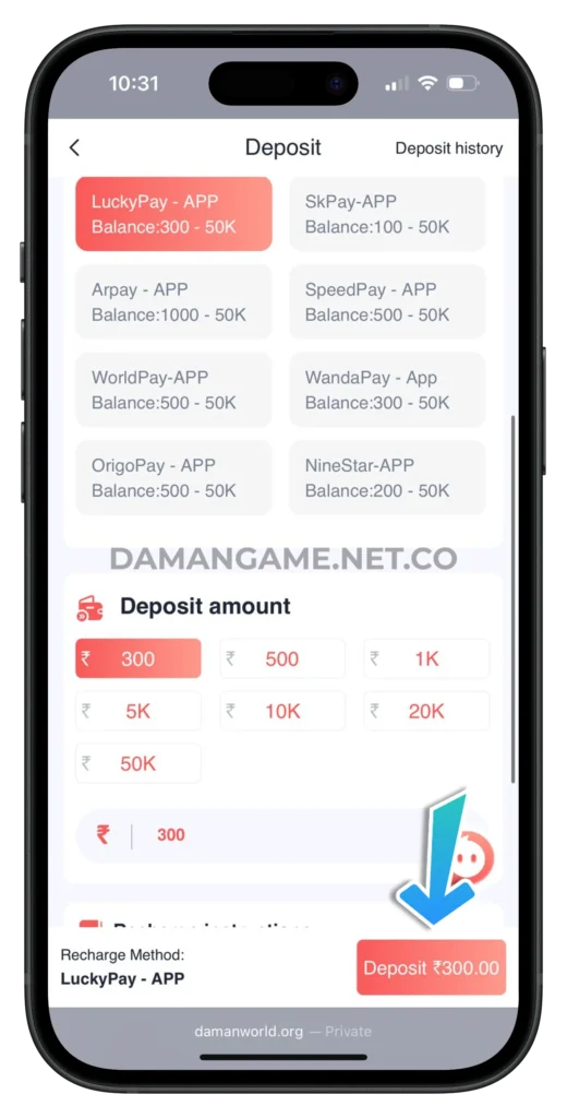 daman-game-deposit-page